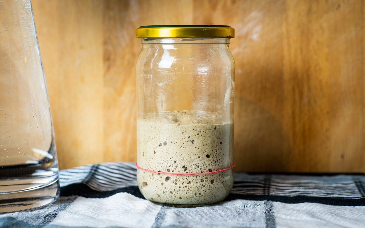 How To Maintain A Sourdough Starter Progress 5