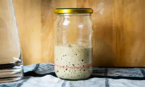 How To Maintain A Sourdough Starter Progress 5