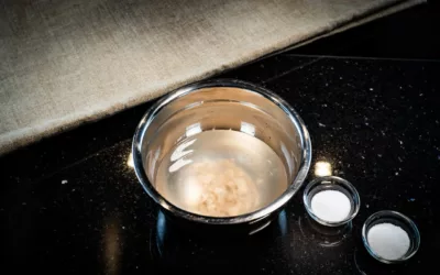 Decoding Baking: An In-depth Look at Different Types of Yeast