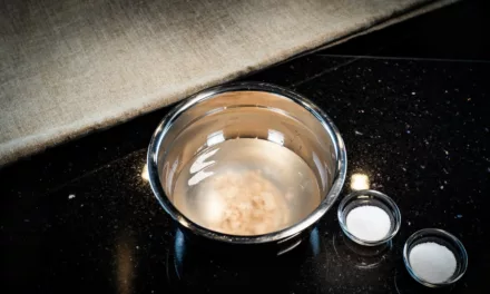 Decoding Baking: An In-depth Look at Different Types of Yeast